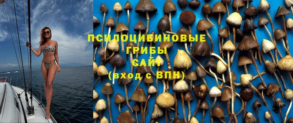 а пвп мука Армянск