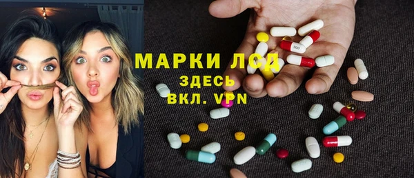 хмурый Арсеньев