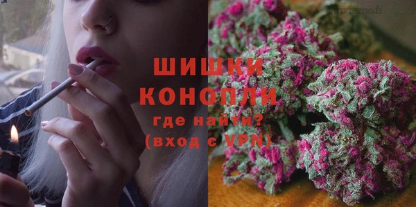 хмурый Арсеньев