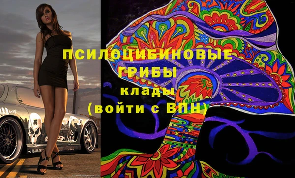 хмурый Арсеньев