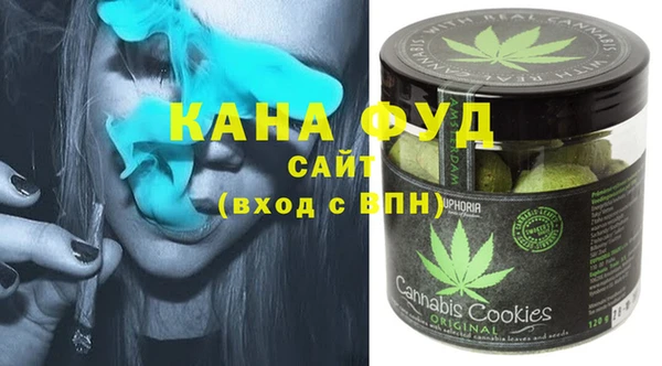 хмурый Арсеньев