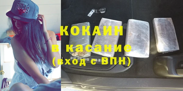 хмурый Арсеньев