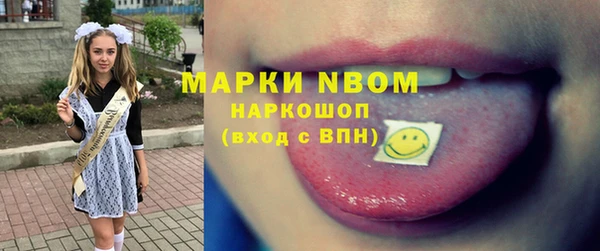 хмурый Арсеньев