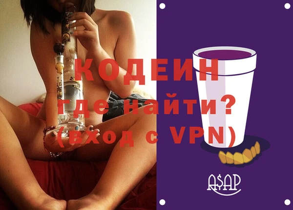 хмурый Арсеньев