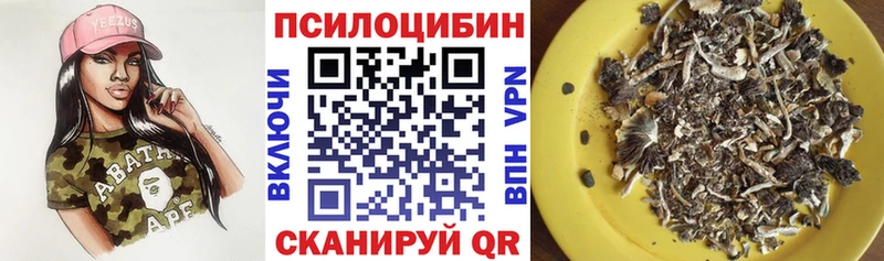 Псилоцибиновые грибы Psilocybe  Болохово 