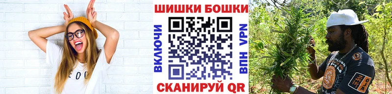 KRAKEN зеркало  Болохово  МАРИХУАНА SATIVA & INDICA 